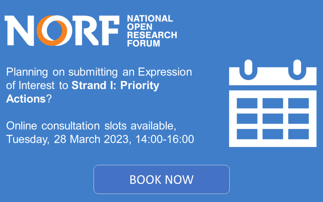 NORF Open Research Fund 2023 Strand I: Priority Actions Consultations