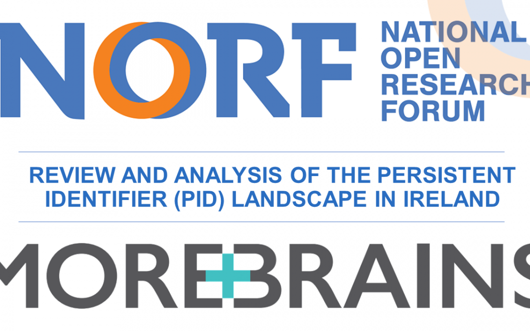 MoreBrains Cooperative Awarded Contract for the Review and Analysis of the Persistent Identifier Landscape in Ireland