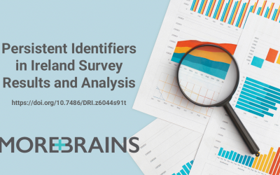 Persistent Identifiers in Ireland Survey Results and Analysis