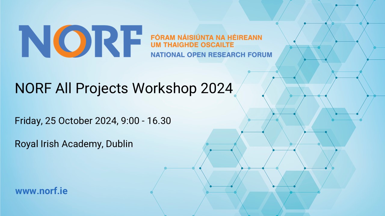 NORF Workshop 2024 graphic