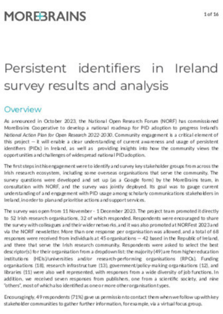 Persistent identifiers in Ireland survey results and analysis